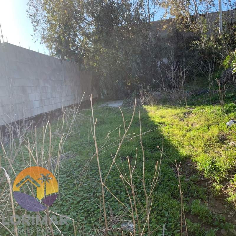 Terreno Flores Magon Terreno Flores Magon